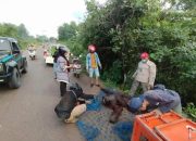 Orang Utan Yang Viral Di Medsos Kini Berhasil Di Evakuasi