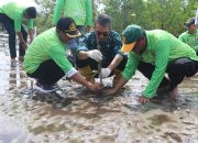 Aksi Penanaman Terumbu Karang dan Mangrove Dalam Rangka Peringati Hari Lingkungan Hidup Sedunia