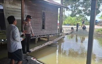 Bermain di Genangan Banjir, Bocah SD di Bengalon Diterkam Buaya