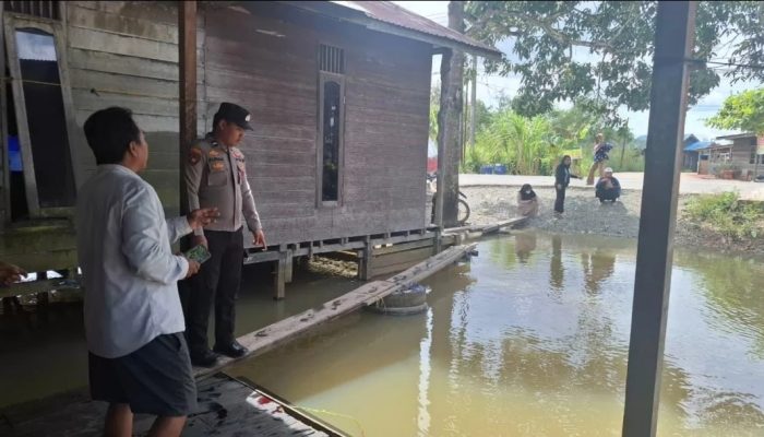 Bermain di Genangan Banjir, Bocah SD di Bengalon Diterkam Buaya