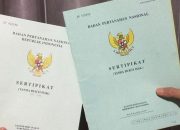 Kenali Prosedur dan Syarat Pemecahan Bidang Tanah, ATR/BPN Beri Panduan kepada Masyarakat