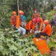 ORANGUTAN MASUK PEKARANGAN WARGA DI KAUBUN, TIM BKSDA LAKUKAN EVAKUASIKAUBUN