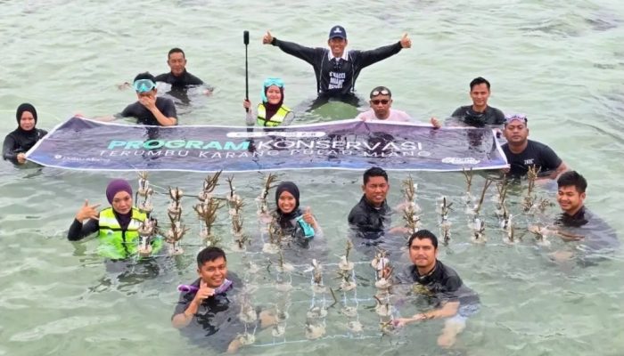 Dukung Wisata Bahari, PT KPP Mining dan PAMA Konservasi Terumbu Karang di Pulau Miang