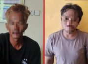 Tim Macan Polres Kutim Ungkap Kasus Pencurian Ternak Sapi, Pelaku Diamankan