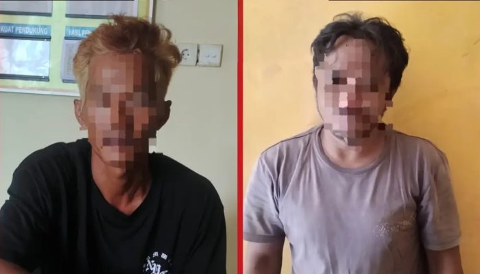 Tim Macan Polres Kutim Ungkap Kasus Pencurian Ternak Sapi, Pelaku Diamankan