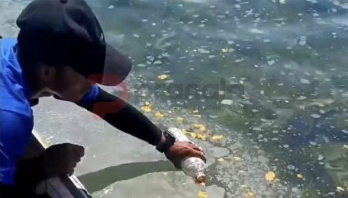 DLH Kaltim Selidiki Dugaan Pencemaran Perairan Pulau Miang