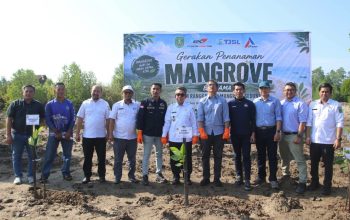 Bupati Kutim Tegaskan Pengembangan Wisata Pantai Teluk Lingga Tak Boleh Korbankan Hutan Mangrove